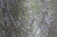 Brooms Barn fibreglass roof work